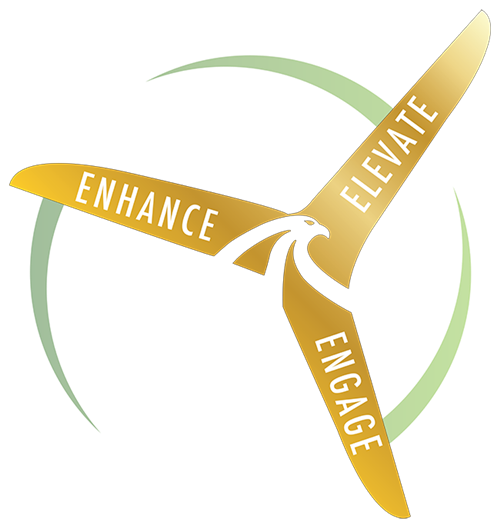 Falcon Zone Logo